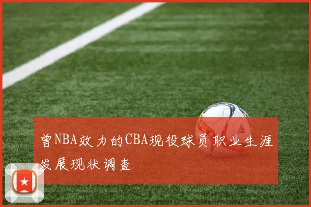 曾NBA效力的CBA现役球员职业生涯发展现状调查