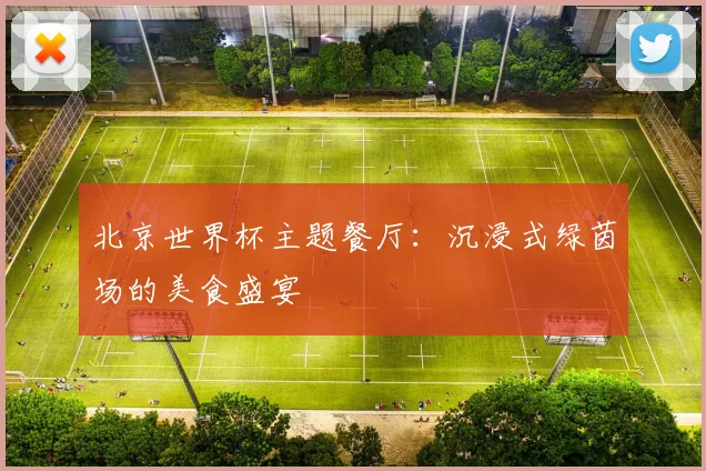 北京世界杯主题餐厅：沉浸式绿茵场的美食盛宴
