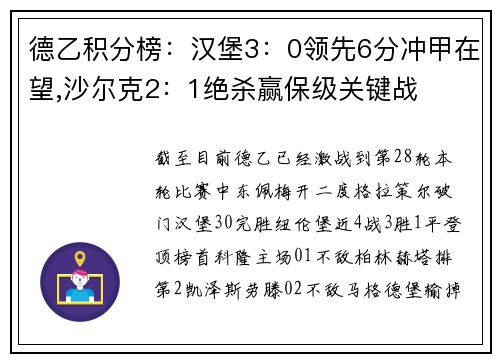 德乙积分榜：汉堡3：0领先6分冲甲在望,沙尔克2：1绝杀赢保级关键战